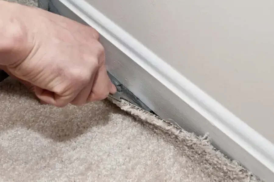 Top-rated Carpet Installation Beltsville, MD